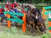 Brauchle, Steffen PSV Schloß Kapfenburg / Baden-Württemberg