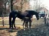 Melodie und Donja