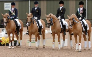 White Gold B bei der Europameisterschaft in Saumur, Mannschaftseuropameister und Vize- Einzeleuropameister Dressur.