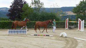 Georgina-Red + Dijon´s Dana Eintragung Platz